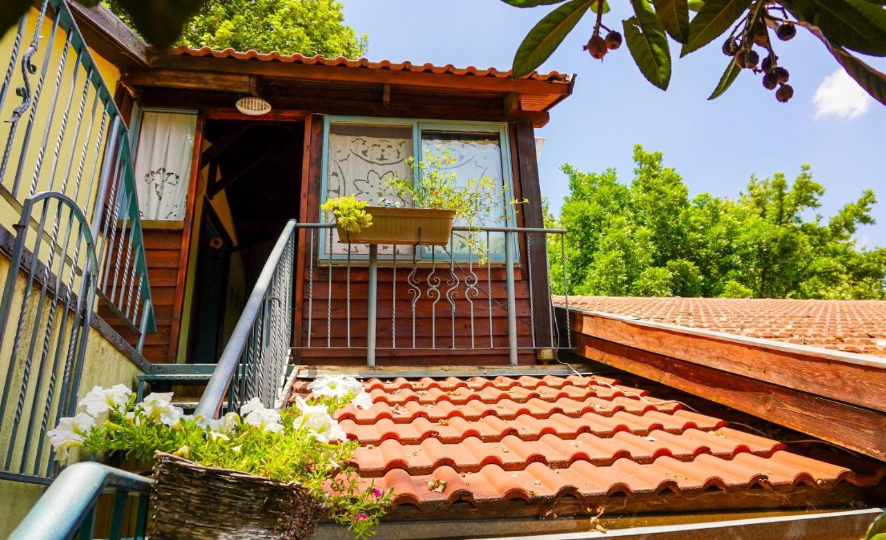 Brush And Wind Vila HaGosherim Exterior foto